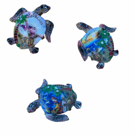 Turtle Paper Weight Large
