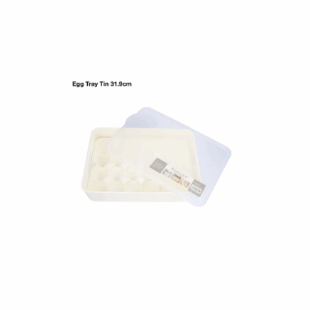 PLASTIC EGG TRAY