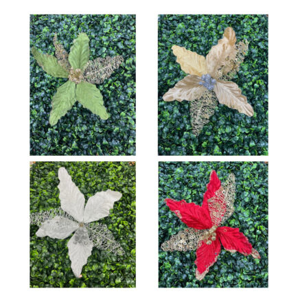 SINGLE POINSETTIA