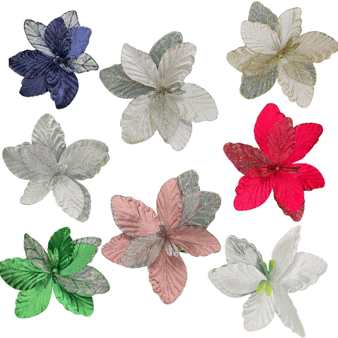 Single Poinsettia