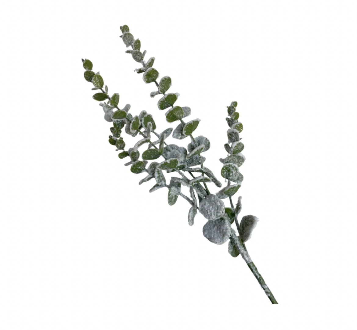 FROSTED EUCALYPTUS PICK
