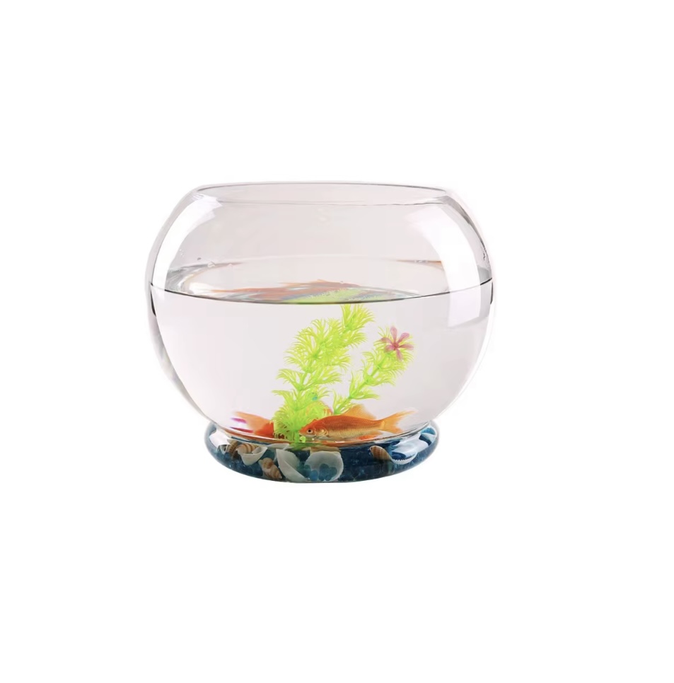 FISH BOWL GLASS VASE