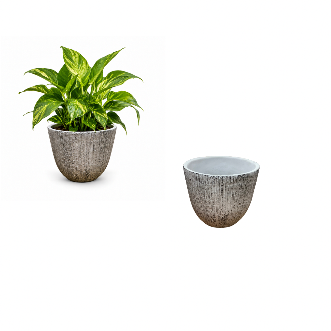 CEMENT VASE