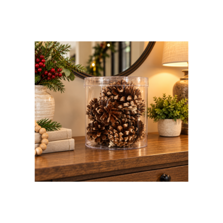 PINE CONES