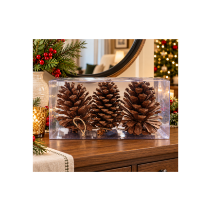 PINE CONES